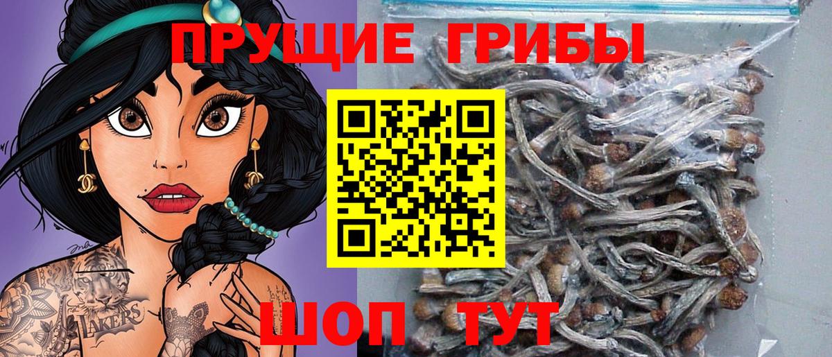 Псилоцибиновые грибы прущие грибы Алапаевск