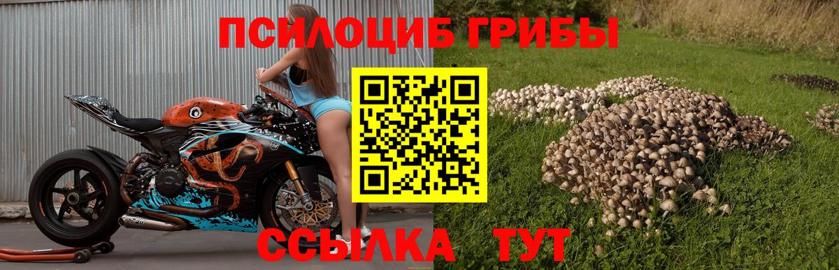 Алапаевск  где купить наркоту  Галлюциногенные грибы Magic Shrooms  Вход с VPN  Псилоцибиновые грибы мухоморы 